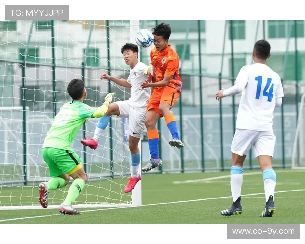 全面解析青训足球体系建设与未来球星全方位成长发展路径深度探索